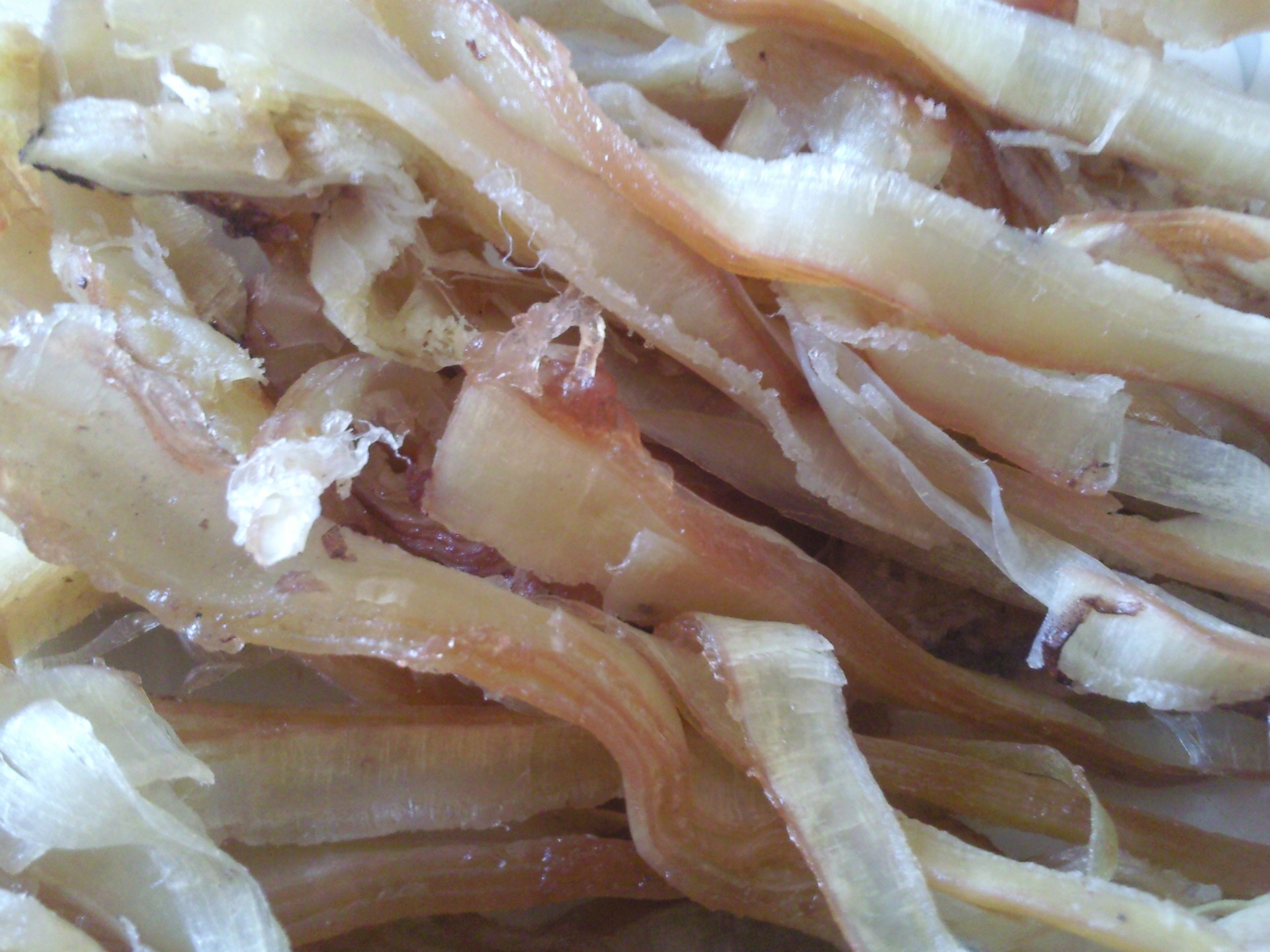 照片0101