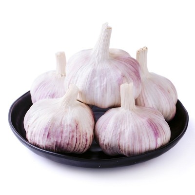 大蒜 蒜 山东批发紫皮大蒜原产地发货工厂直发干蒜头保鲜大蒜图4