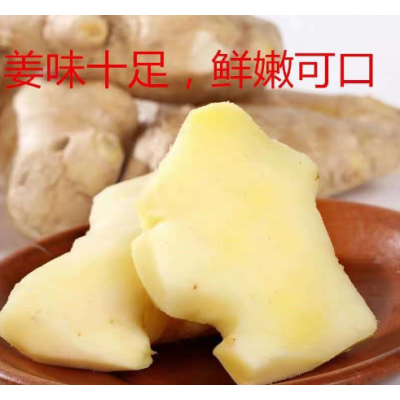 山东风干姜巴大姜鲜姜生姜老姜月子姜风干姜3斤实惠装一件代发图4