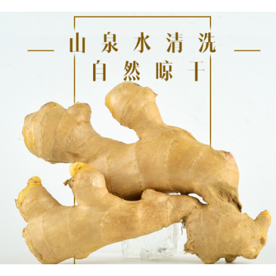 山东风干姜巴大姜鲜姜生姜老姜月子姜风干姜3斤实惠装一件代发