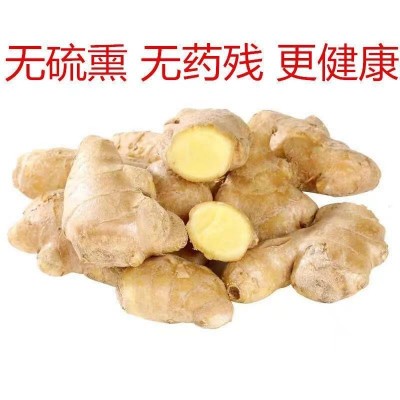 山东风干姜巴大姜鲜姜生姜老姜月子姜风干姜3斤实惠装一件代发图3
