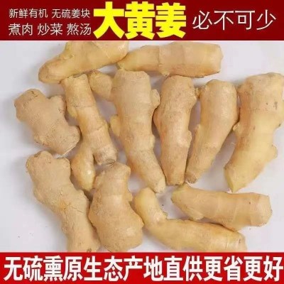 山东风干姜巴大姜鲜姜生姜老姜月子姜风干姜3斤实惠装一件代发图2