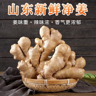 风干姜山东大姜月子姜原产地农家黄姜净重3斤实惠装一件代发