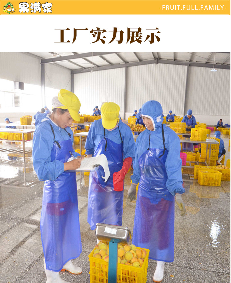 新果满家详情@_20