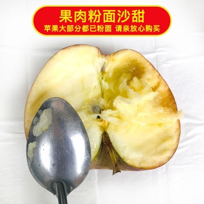 精选粉面红秦冠苹果老树红香蕉水果带箱10斤沙甜丑苹果一件批发图4