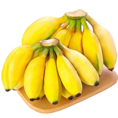 当季水果广西热带小米蕉批发新鲜糯甜水果整箱代发3/5/9斤小香蕉