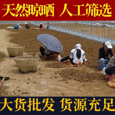 文山三七头三七粉田七基地水洗不打蜡三七20头30头40头60头批发图4