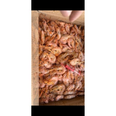 干虾，盐田虾干，南美白对虾干，冻干虾，虾米，虾皮图4