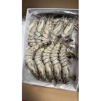 冷冻对虾 （黑虎虾 草虾）原装一件10盒 10条一盒 10件起发货图3