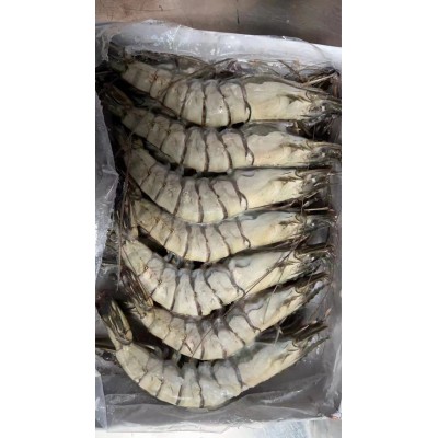 冷冻对虾 （黑虎虾 草虾）原装一件10盒 10条一盒 10件起发货图5