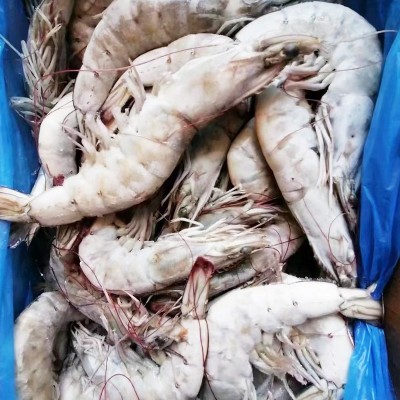 批发鲜活新鲜冷冻海鲜盐冻虾超大整箱海虾青虾对虾基围虾水产图5