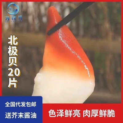 新鲜北极贝刺身切片生食海鲜沙拉料理开即食北极贝贝类鲜生鱼片图2
