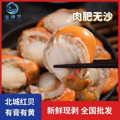 扇贝肉新鲜真空装带黄大扇贝鲜活新鲜黄蚬子大号冷冻海鲜水产红贝