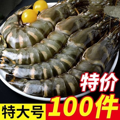 大黑虎虾老虎虾新鲜鲜活速冻海鲜水产食材九节虾基围虾斑节虾批发图4