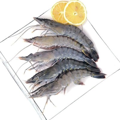 大黑虎虾老虎虾新鲜鲜活速冻海鲜水产食材九节虾基围虾斑节虾批发