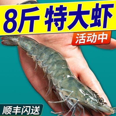 青岛大虾整箱海鲜鲜活速冻大冷冻基围虾鲜虾海虾对虾青虾生鲜批发