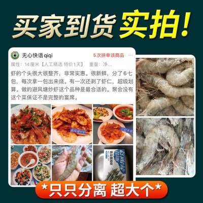 青岛大虾整箱海鲜鲜活速冻大冷冻基围虾鲜虾海虾对虾青虾生鲜批发图4
