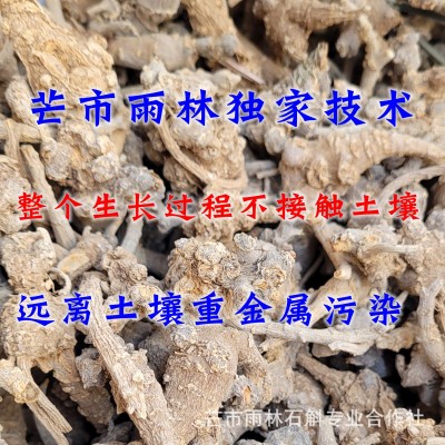 仿野生三七大山里种植云南芒市雨林半野生三七来自大山的特产图2