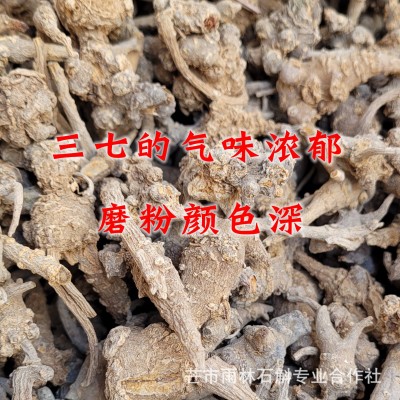 仿野生三七大山里种植云南芒市雨林半野生三七来自大山的特产图4