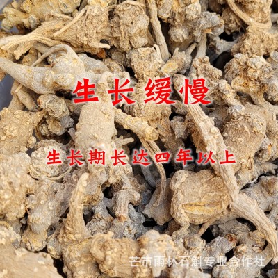 仿野生三七大山里种植云南芒市雨林半野生三七来自大山的特产图3
