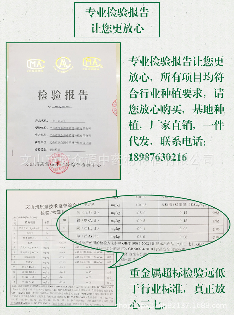 检测报告