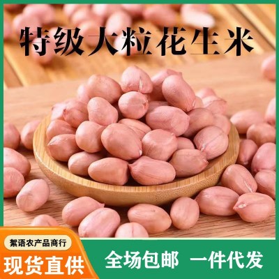 现剥新花生米生新货特级粉皮新鲜大粒花生米不带壳榨油白沙花生仁