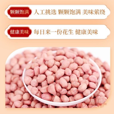 现剥新花生米生新货特级粉皮新鲜大粒花生米不带壳榨油白沙花生仁图3