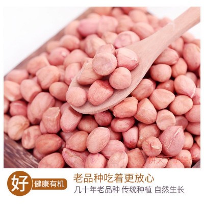 现剥新花生米生新货特级粉皮新鲜大粒花生米不带壳榨油白沙花生仁图5