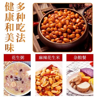 现剥新花生米生新货特级粉皮新鲜大粒花生米不带壳榨油白沙花生仁图4