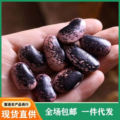 大黑花芸豆新货云南农家雪山黑芸豆牛眼豆大花豆豆类杂粮粗粮包邮