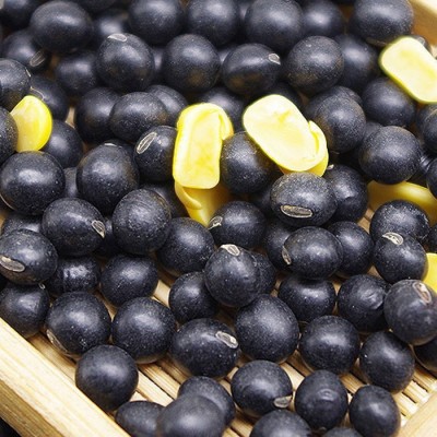 新鲜黄芯黑豆农家自种黑豆老品种黄芯黑小豆煮粥打豆浆发豆芽杂粮图3