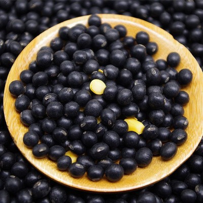 新鲜黄芯黑豆农家自种黑豆老品种黄芯黑小豆煮粥打豆浆发豆芽杂粮图2