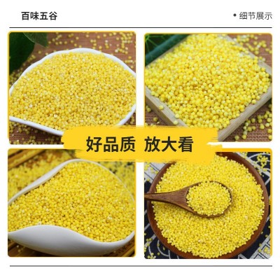 大黄米 东北农家自产新鲜粘糯大黄米 包粽子米黄米饭杂粮500g批发图4