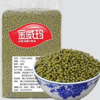 【厂家直销】金威玛优质绿豆批发原生态绿豆颗粒饱满东北绿豆图2