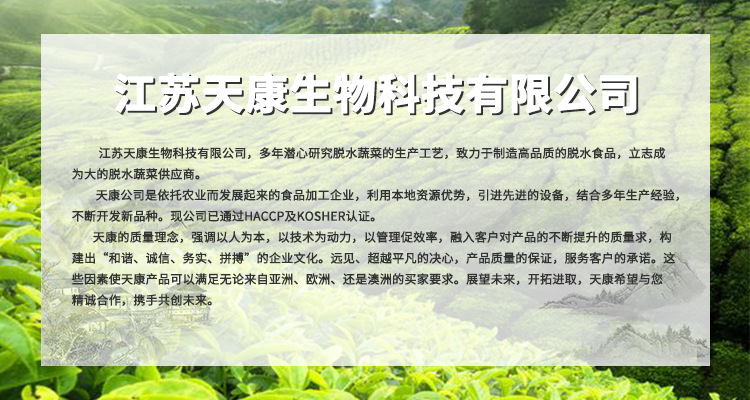 公司介绍