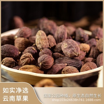 如实臻选云南草果香辛料食用无硫净选调味料火锅卤菜餐饮批发图2