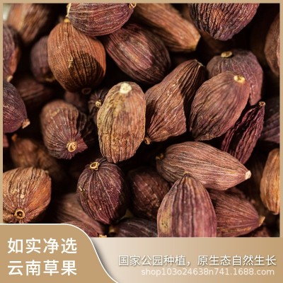 如实臻选云南草果香辛料食用无硫净选调味料火锅卤菜餐饮批发