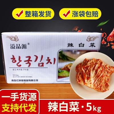 厂家直供韩式辣白菜整箱批发外卖商用手工朝鲜族泡菜韩式辣白菜图2
