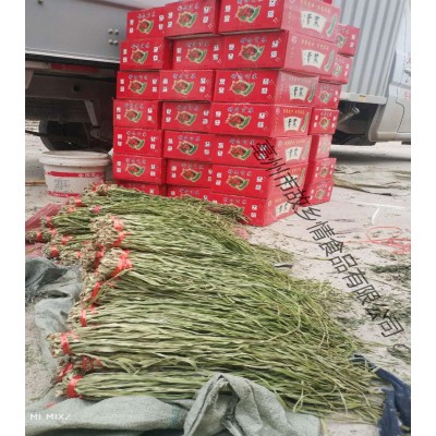 产地直发无叶贡菜 散装云南贡菜干苔菜干贡菜干货批发火锅店专用图4