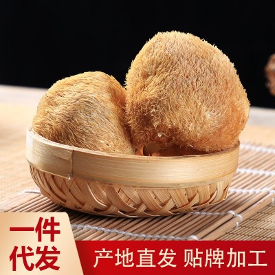 正胜猴头菇福建农产品食用菌煲汤香菇菌 厂家现货批发 菌类干货猴头菇