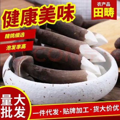 包邮黑皮新鲜鸡枞菌批发酒店食用菌黑皮鸡枞煲汤新鲜荔枝菌鸡枞菌图2