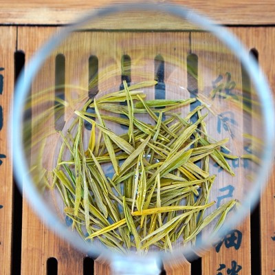 2022年新茶 竺之润正宗安吉黄金芽500克 雨前茶特级绿茶图3