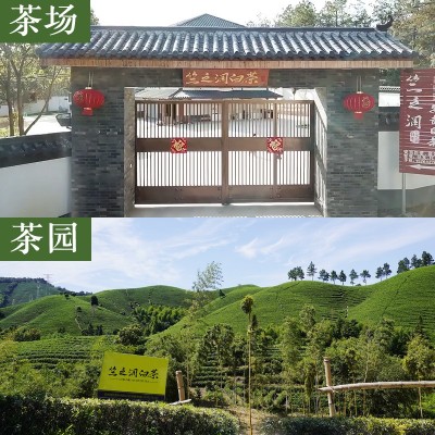 【2023年新茶上市】竺之润正宗安吉白茶雨前茶特级250克兰花香图2