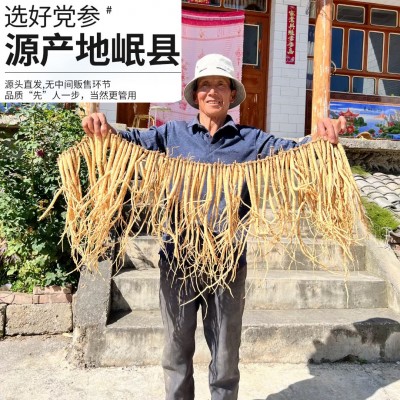 党参批发中药材无硫党参条甘肃特产党参段无硫原色党参片当归黄芪图3