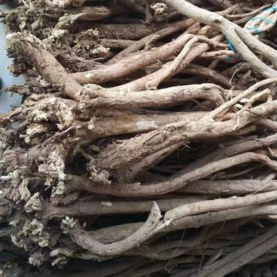 甘肃原产地野外多年生的黄芪原条黄芪片正北芪500g野生黄芪批发图3