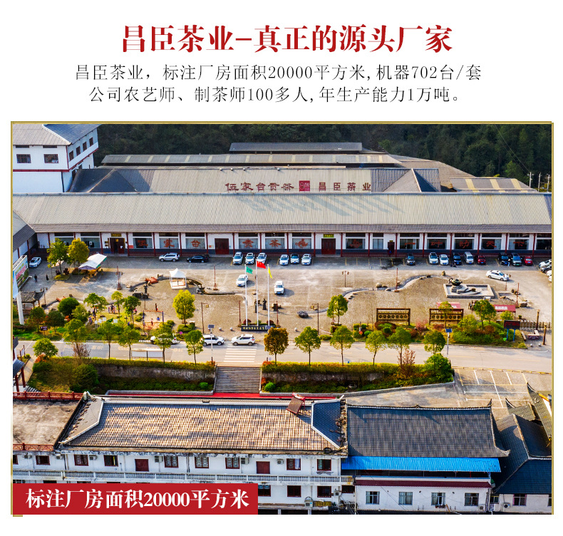 恩施伍家台贡茶炒青一号_14