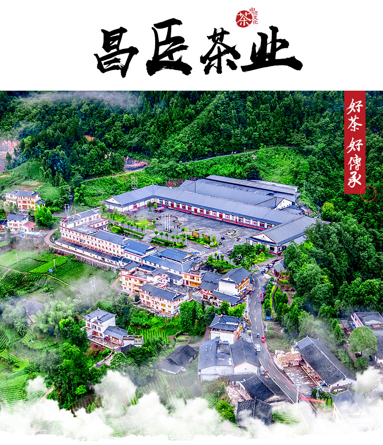 恩施伍家台贡茶炒青一号_13