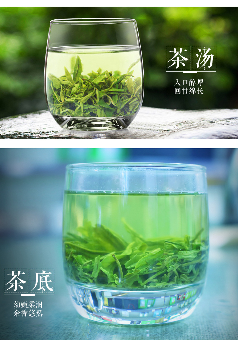 恩施伍家台贡茶炒青一号_08
