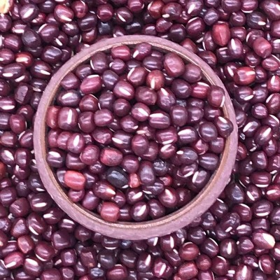 批发红小豆低温烘焙五谷杂粮红小豆磨粉代餐豆浆粮厂家现货红小豆图2