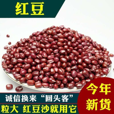 东北红豆 大粒红小豆 红色粮食赤豆农产品食用红豆批发